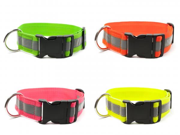 Signalhalsband mit Klickverschluss 40mm von Mystique®